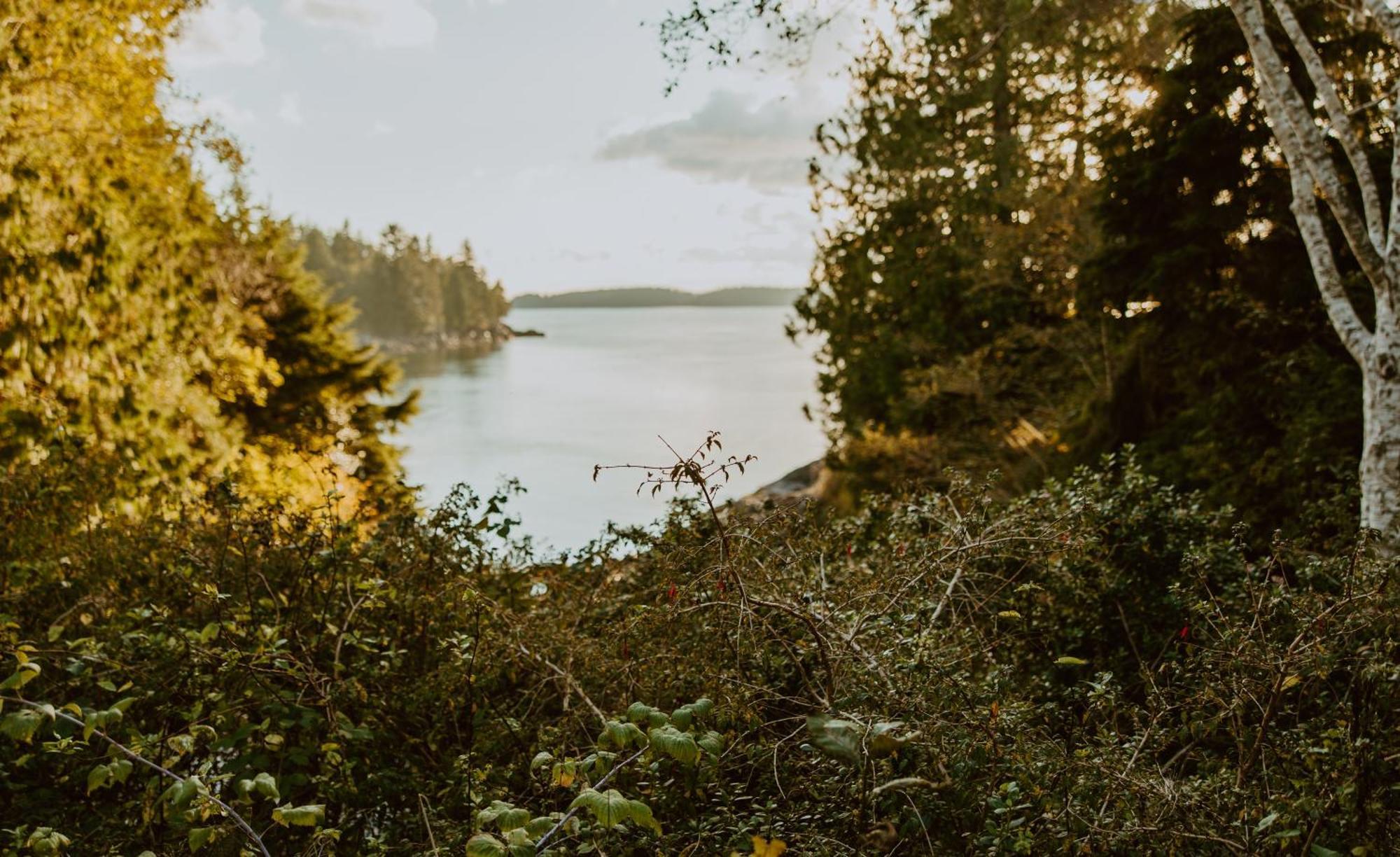 Lunar Cove Inn Charters And Tours Tofino Kültér fotó